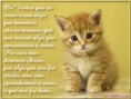 /album/imagens-de-amor/z-poemas10-jpg/